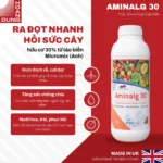 AMINALG 30 Micromix – công dụng nổi bật của sản phẩm