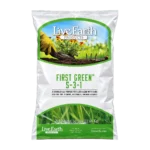 First Green 5-3-1