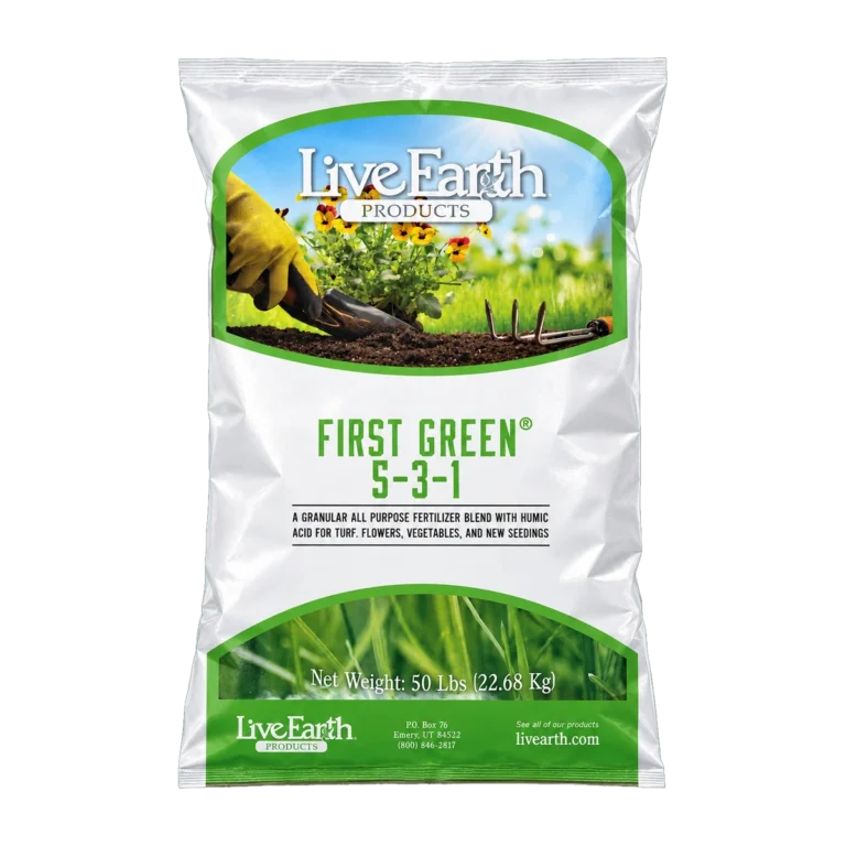 First Green 5-3-1
