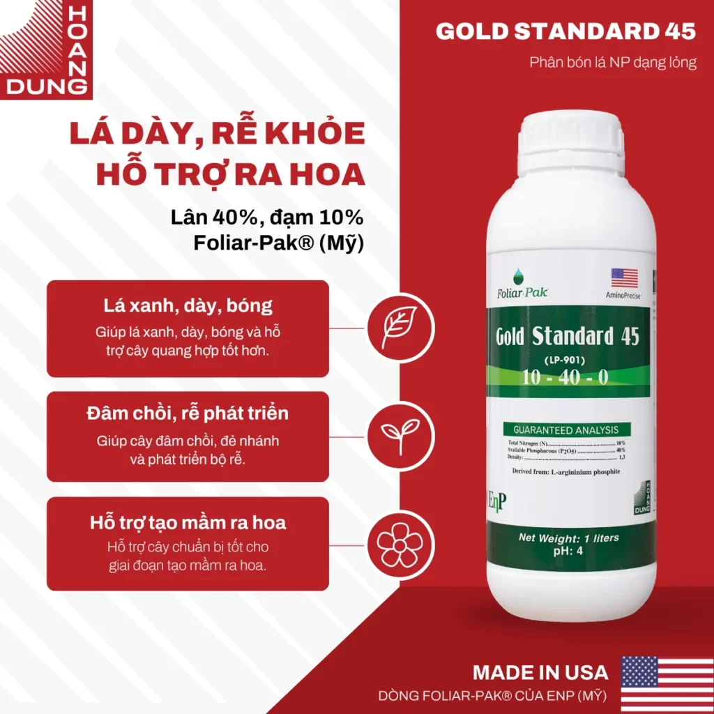 GOLD STANDARD 45 (LP-901) EnP – công dụng nổi bật của sản phẩm