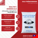 KALI TRẮNG Sesoda – công dụng nổi bật của sản phẩm