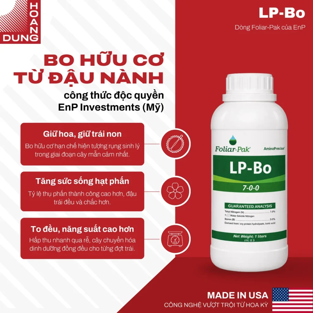LP-Bo EnP – công dụng nổi bật của sản phẩm