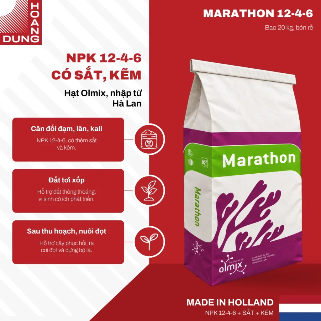MARATHON 12-4-6 Olmix – công dụng nổi bật của sản phẩm