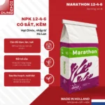 MARATHON 12-4-6 Olmix – công dụng nổi bật của sản phẩm
