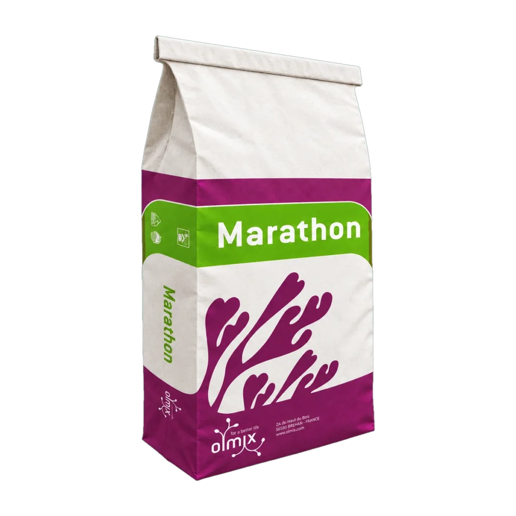 Marathon 12-4-6