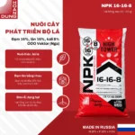 NPK 16-16-8 Hạt hồng OOO Vektor – công dụng nổi bật của sản phẩm
