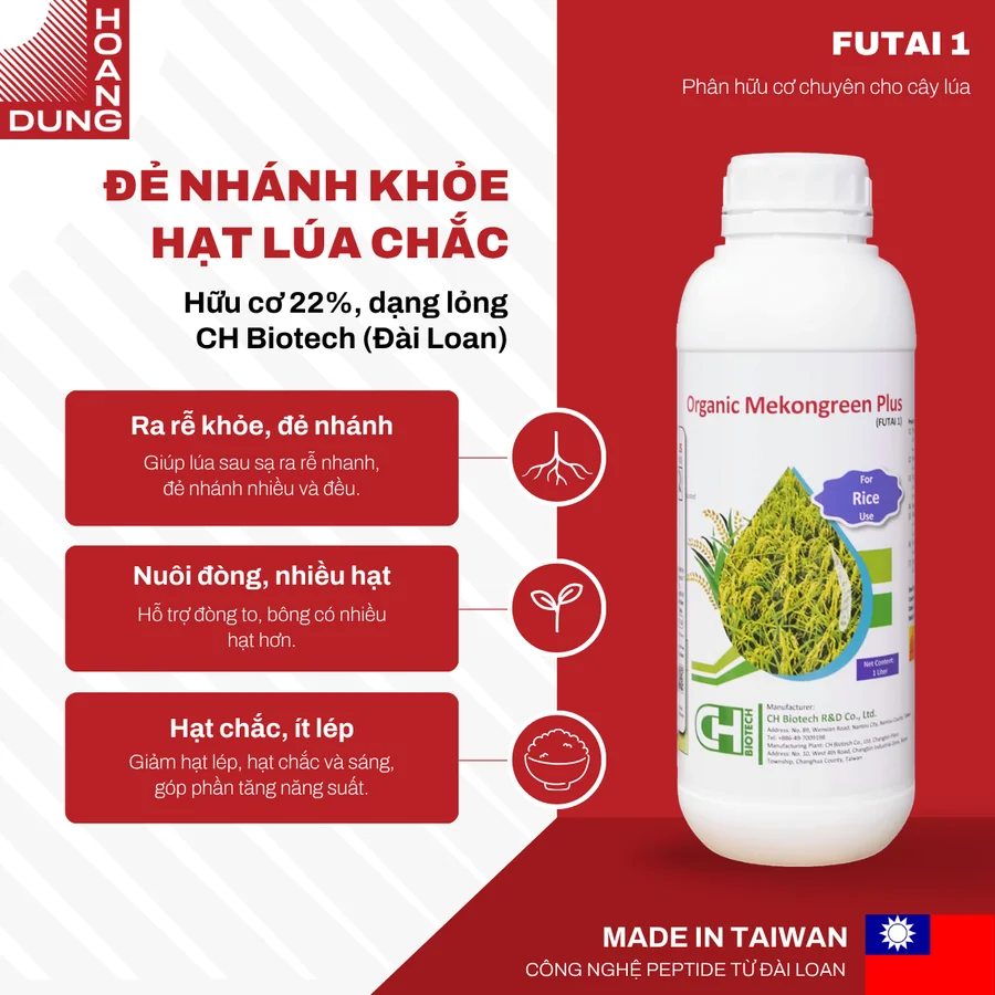 Công dụng phân hữu cơ Organic Mekongreen Plus FUTAI 1 cho lúa: rễ khỏe, đẻ nhánh, hạt chắc