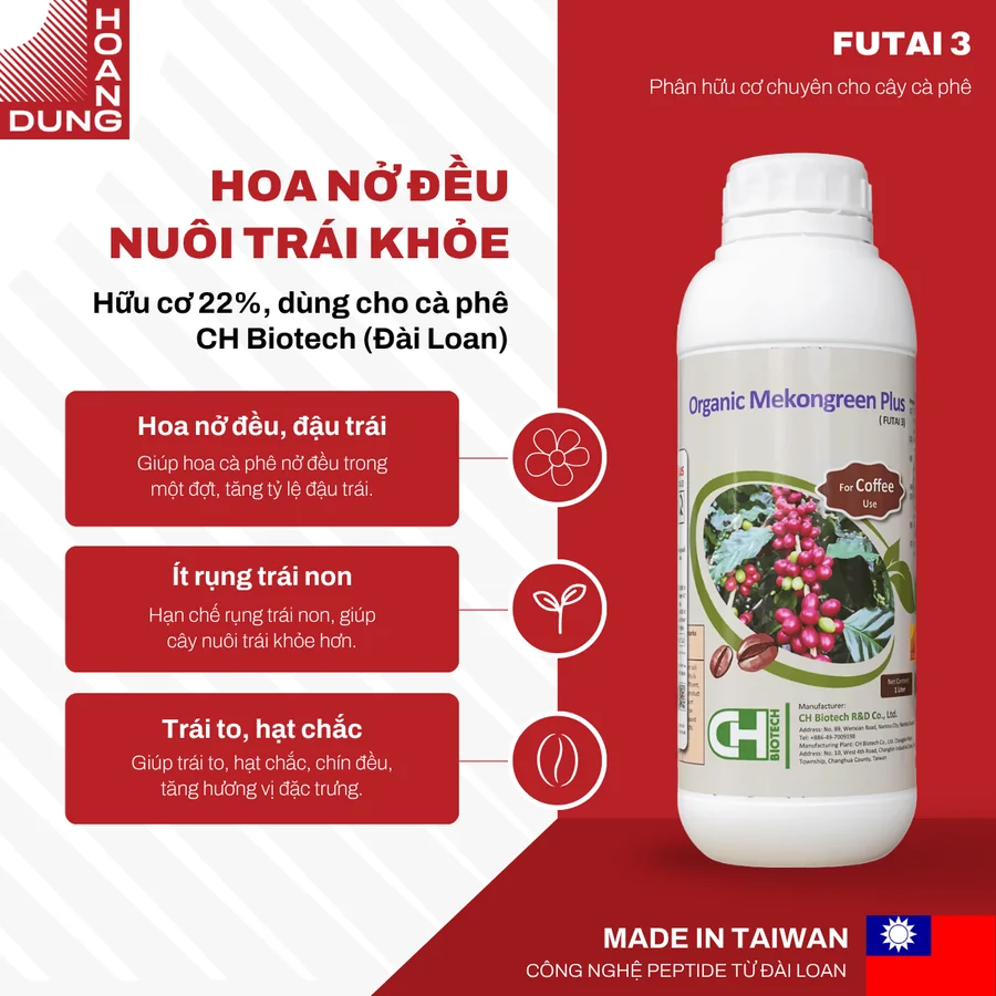Công dụng phân hữu cơ Organic Mekongreen Plus FUTAI 3 cho cà phê: hoa nở đều, ít rụng trái, trái to hạt chắc