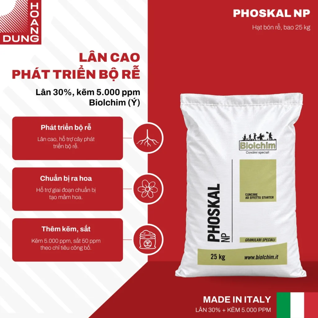 PHOSKAL Biolchim – công dụng nổi bật của sản phẩm