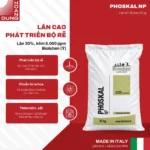 PHOSKAL Biolchim – công dụng nổi bật của sản phẩm