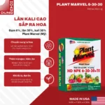 PLANT MARVEL NPK 6-30-30 Plant Marvel – công dụng nổi bật của sản phẩm