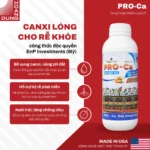 PRO-CA EnP – công dụng nổi bật của sản phẩm