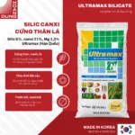 ULTRAMAX SILICATE Hyeop Hwa – công dụng nổi bật của sản phẩm