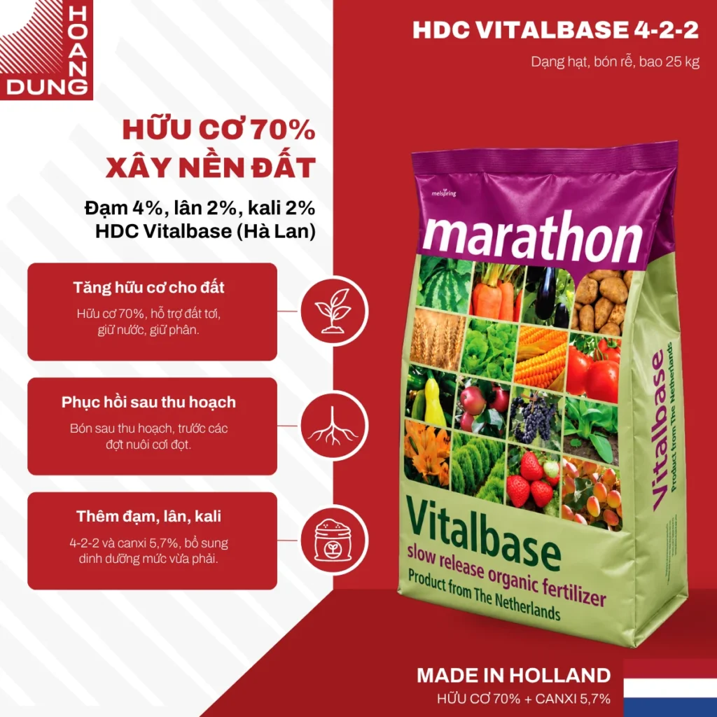 HDC VITALBASE 4-2-2 Van Iperen International – công dụng nổi bật của sản phẩm