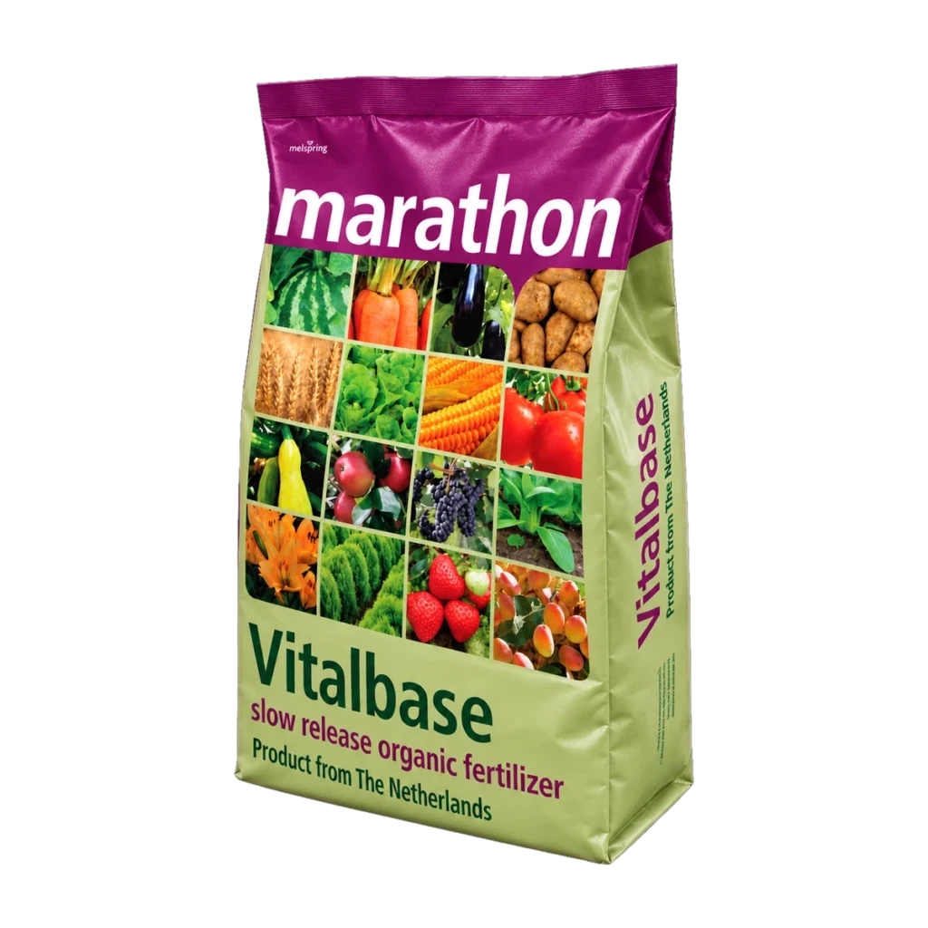 Vitabase Ha Lan (Marathon)