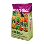 Vitabase Ha Lan (Marathon)