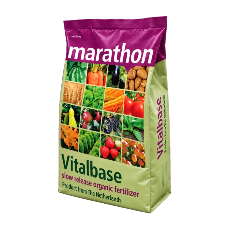 Vitabase Ha Lan (Marathon)