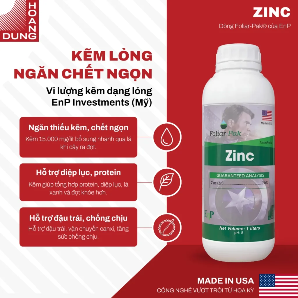 ZINC EnP – công dụng nổi bật của sản phẩm