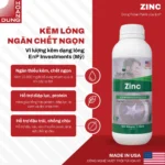 ZINC EnP – công dụng nổi bật của sản phẩm
